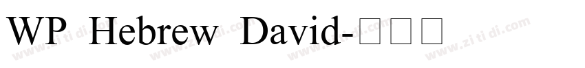 WP Hebrew David字体转换